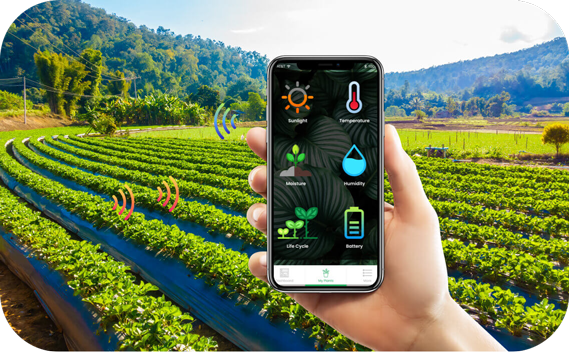 數字化鄉村智能管理 引領農業革命，助推農民增產致富